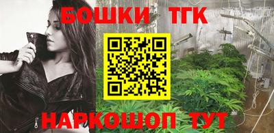 стафф Кингисепп