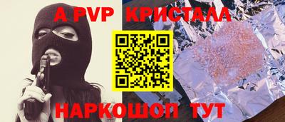 стафф Кингисепп