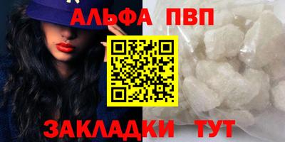 стафф Кингисепп
