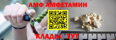 стафф Кингисепп