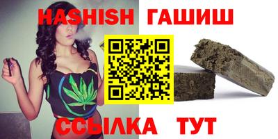 стафф Кингисепп