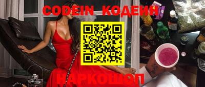 стафф Кингисепп
