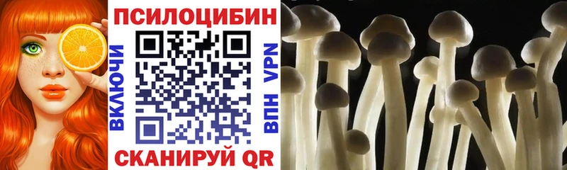Псилоцибиновые грибы MAGIC MUSHROOMS  Краснодар 