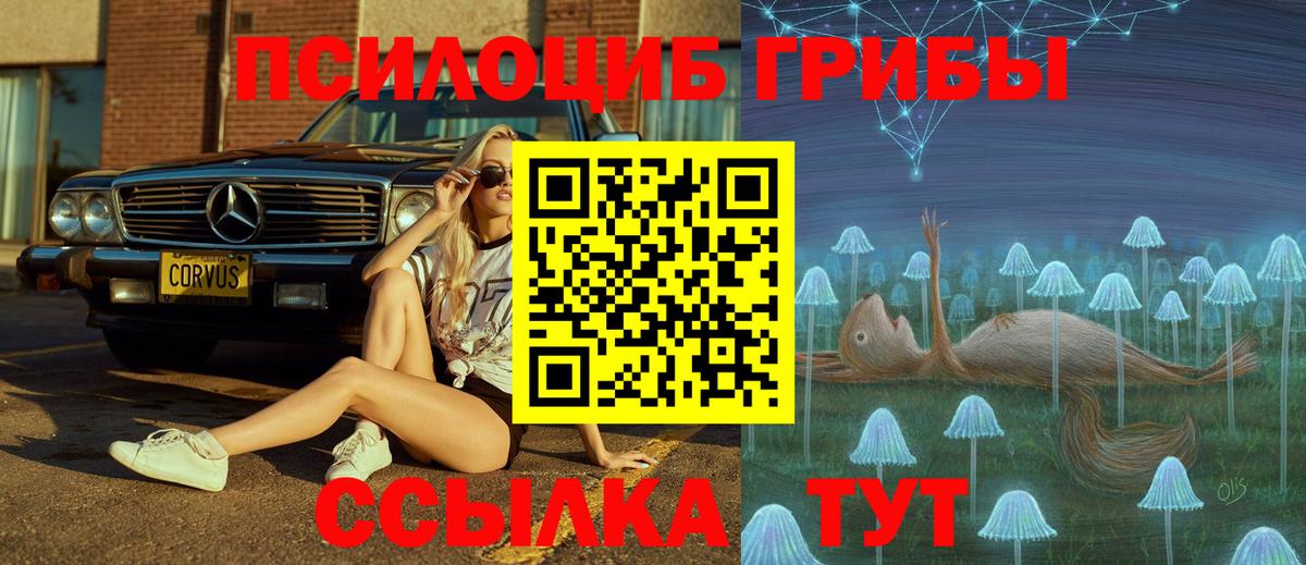Псилоцибиновые грибы GOLDEN TEACHER Краснодар