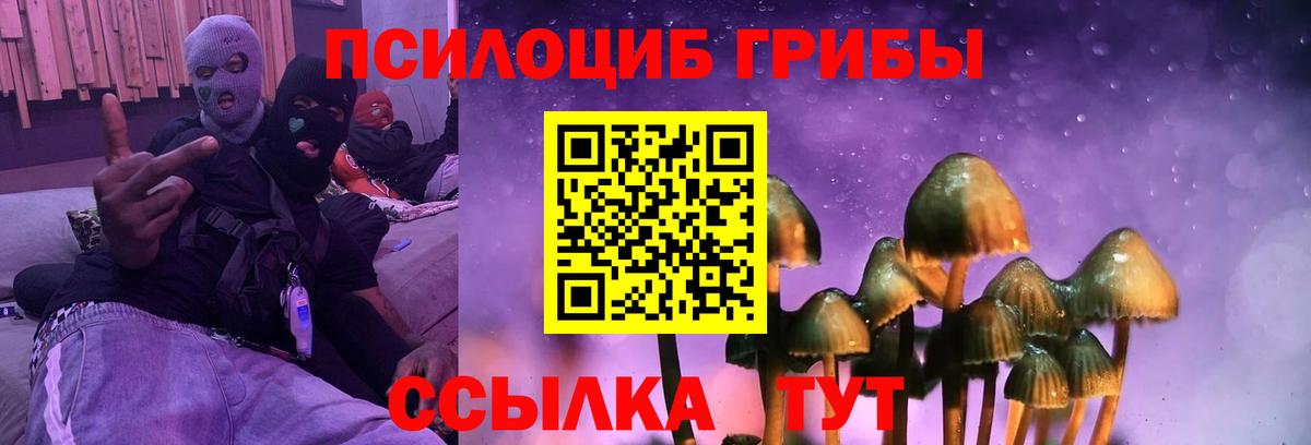 Краснодар  Псилоцибиновые грибы мицелий  Вход с VPN 