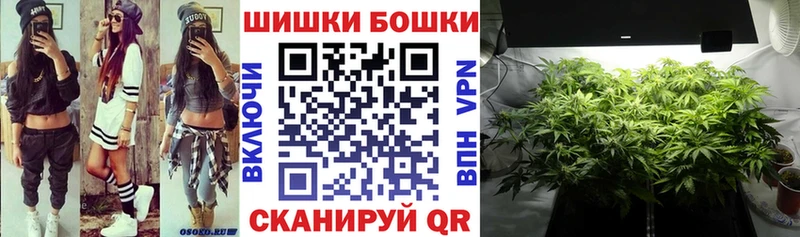 мориарти наркотические препараты  хочу наркоту  Краснодар  Марихуана Ganja 